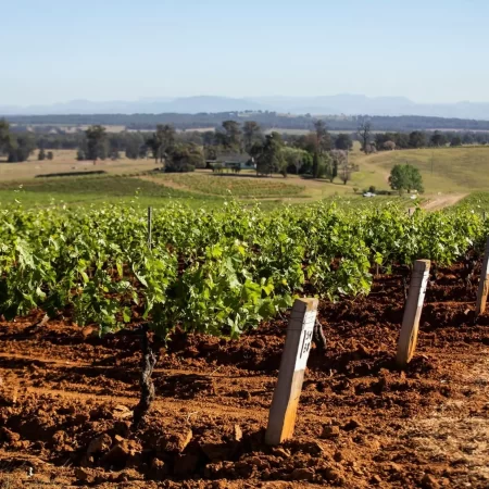hunter valley wineries tours
