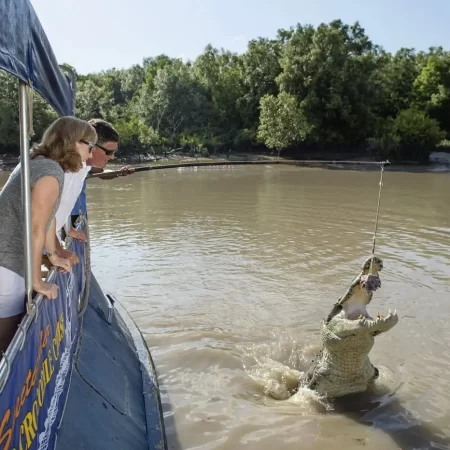 jumping croc tour