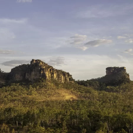 kakadu day trip