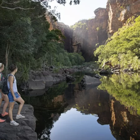 kakadu full-day tour from darwin with lunch