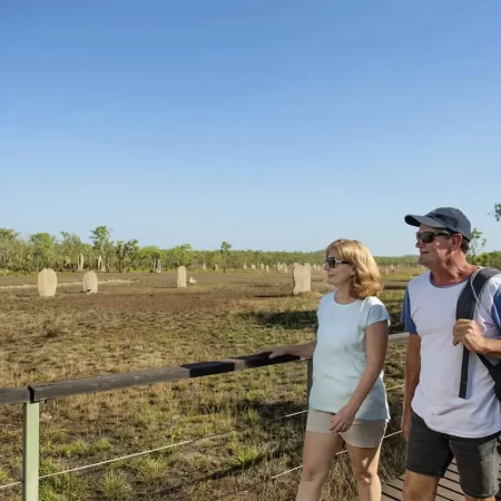 litchfield national park day tour