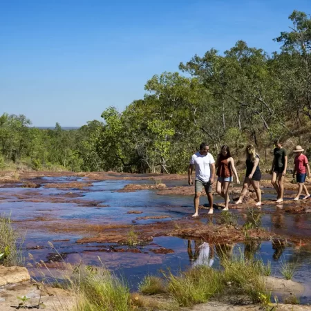 litchfield national park