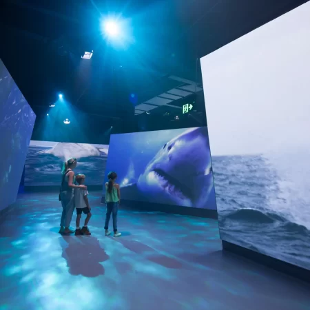 melbourne penguin island