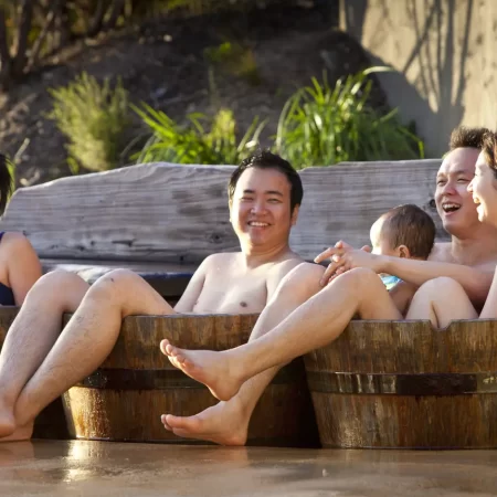 mornington peninsula hot springs tour