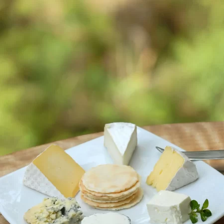 mornington peninsula tours