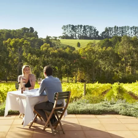 mornington winery tours