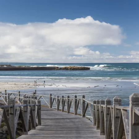 one day great ocean road tour