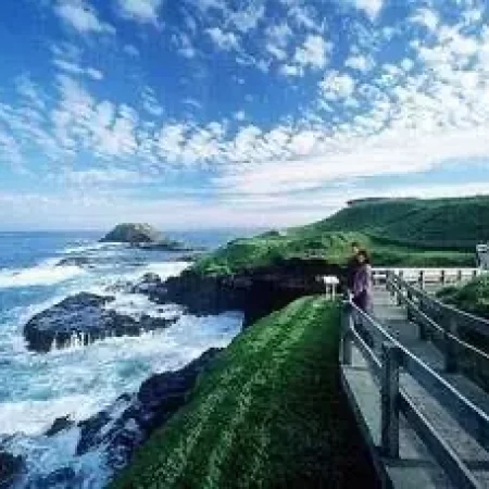 penguin tour phillip island