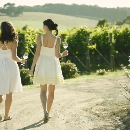 peninsula wine tours