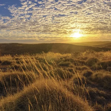 perth adventure park