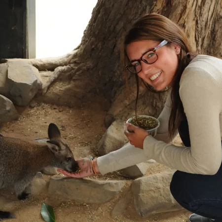 phillip island penguin parade