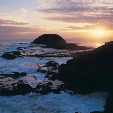 phillip island tour melbourne