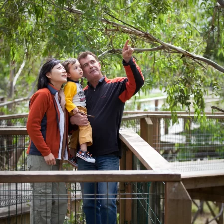 phillips island tour