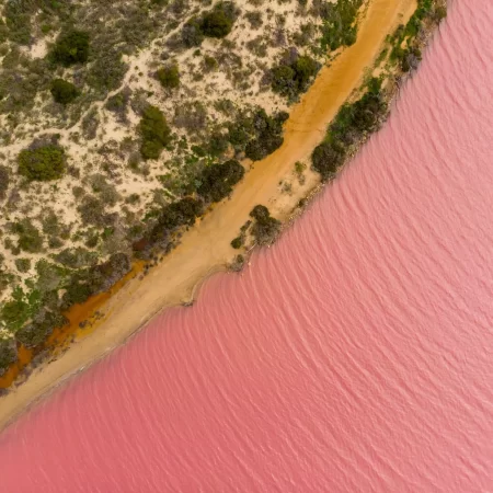 pink lake buggy tours