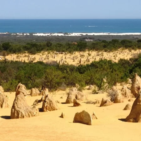 pinnacles tour perth