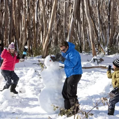 snowy mountains tour packages