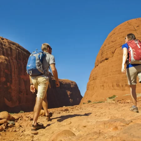 tour uluru from alice springs
