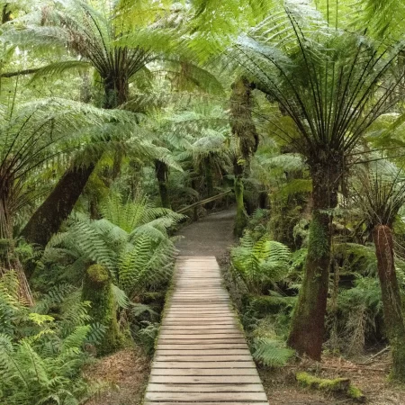 touring the great ocean road