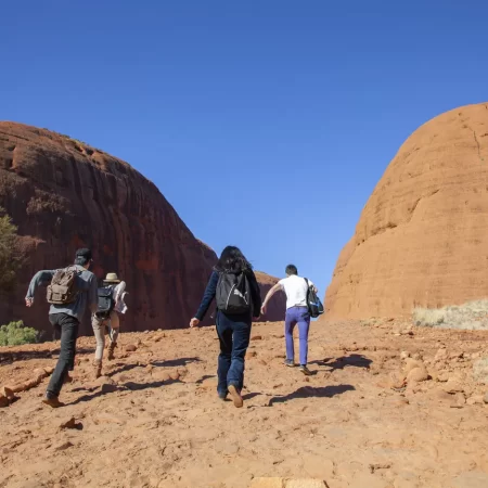 tours alice springs to uluru
