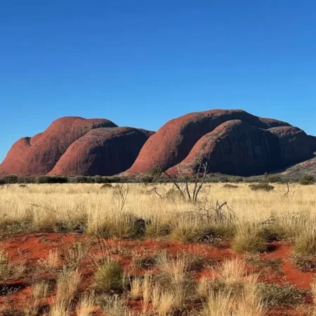 tours at uluru