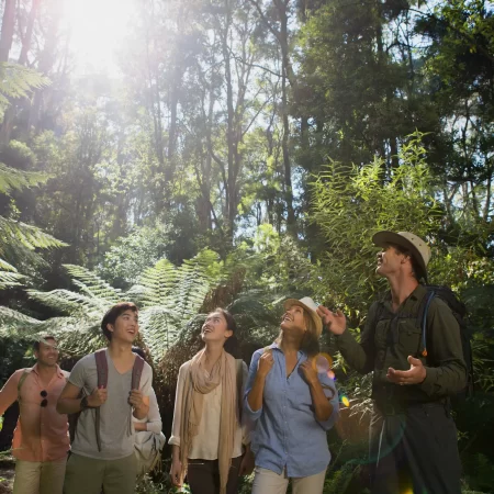 tours from melbourne to adelaide