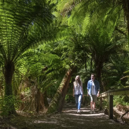 tours of great ocean road