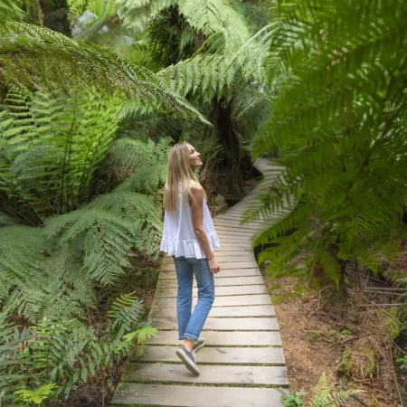tours to great ocean road