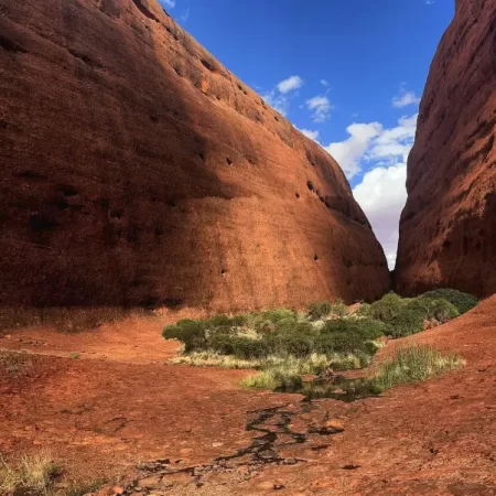 trip to uluru