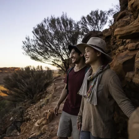 uluru day tours from alice springs
