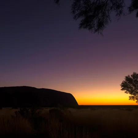 uluru to alice springs tour