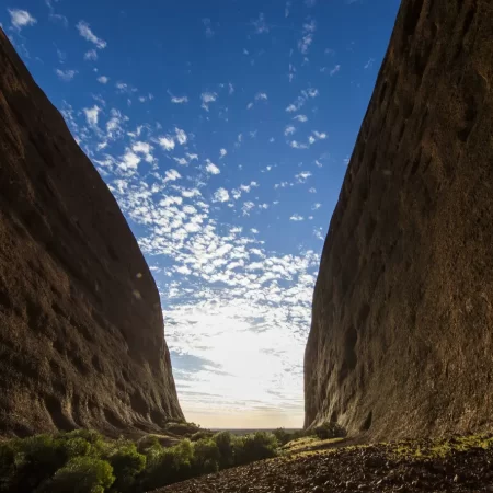 uluru to alice springs tour