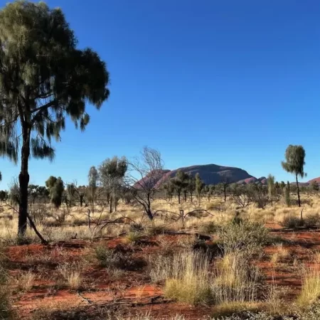 uluru tours from melbourne