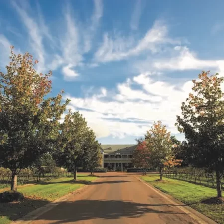 wine tours hunter valley