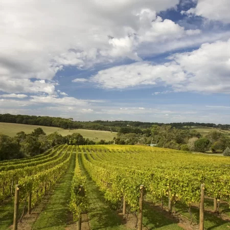 winery tour peninsula