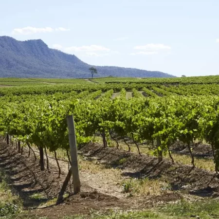 winery tours hunter valley nsw