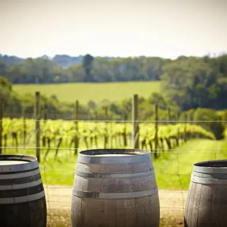 winery tours mornington